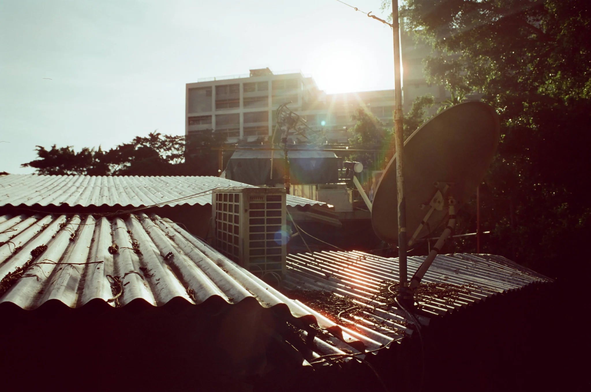 Reflx Lab 100D 35mm Color Negative Film 36EXP